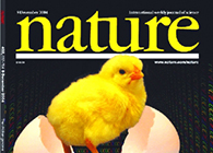 自然期刊提到CC网投