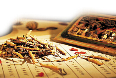 以后中医药养生将怎样效劳黎民生涯？？？？