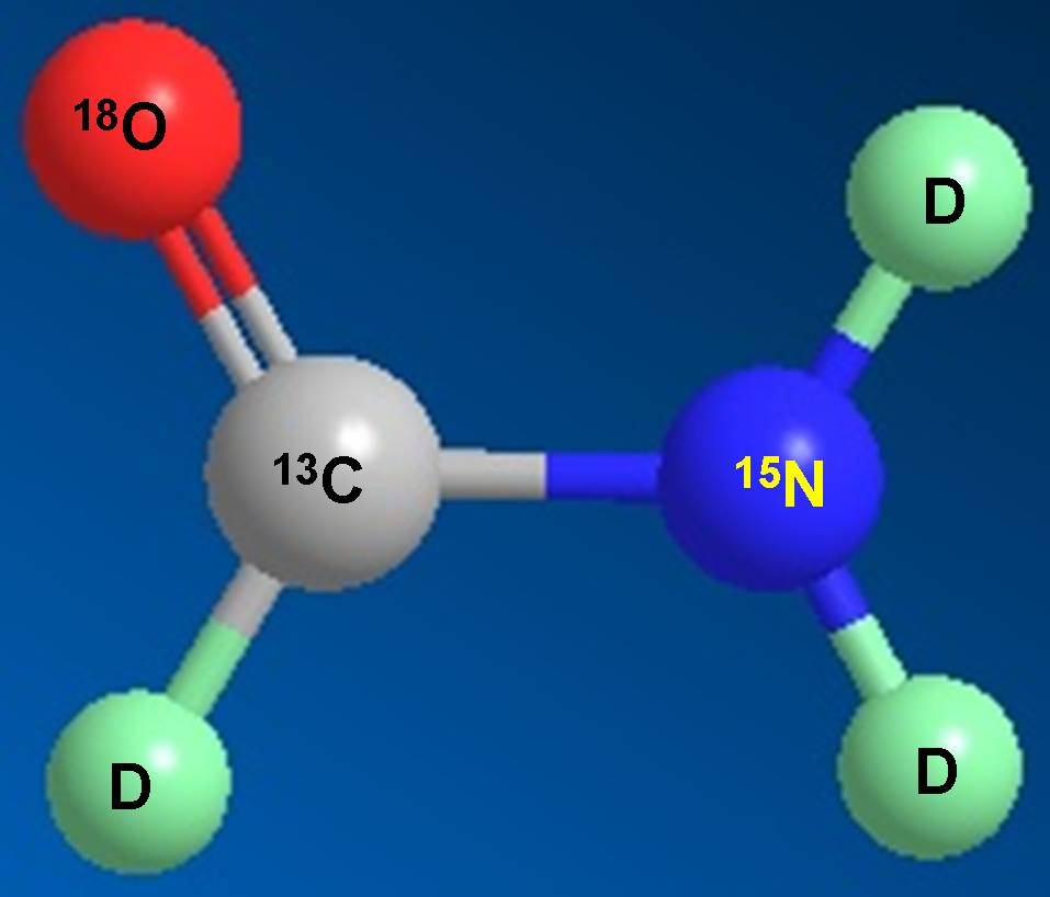 CC网投科研职员受邀担当同位素手艺交流培训会讲师