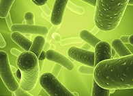 CC网投将加入2013年欧洲生物春季展会