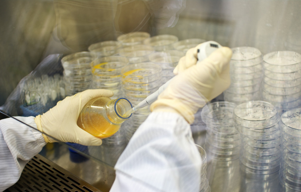 CC网投·(中国游)官方网站