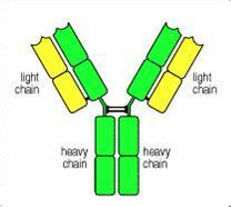 CC网投·(中国游)官方网站