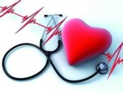 CC网投·(中国游)官方网站