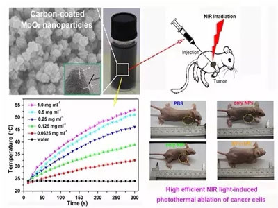 CC网投·(中国游)官方网站