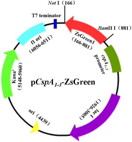 CC网投·(中国游)官方网站