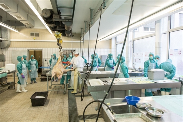 CC网投·(中国游)官方网站