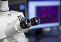 改委监控三类药价，，，，，本钱价视察将启动