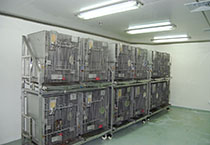 CC网投·(中国游)官方网站