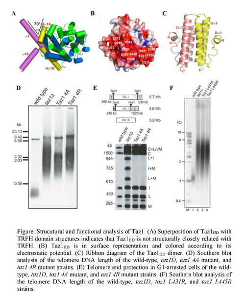 CC网投·(中国游)官方网站