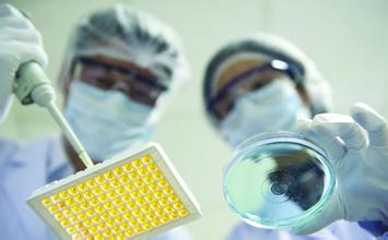 CC网投·(中国游)官方网站