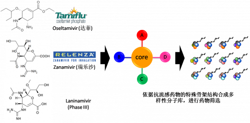 图2：以现有抗流感药物的结构为基础，，，，，举行多样性药物分子库的合成。。。。