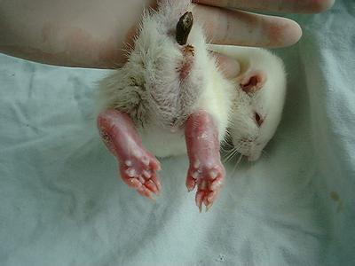 CC网投·(中国游)官方网站