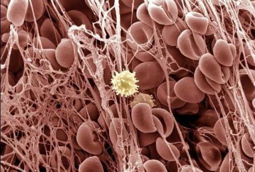 CC网投·(中国游)官方网站