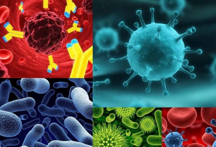 原位杂交手艺的基本流程有哪些？？？？？