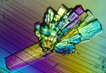 CC网投·(中国游)官方网站