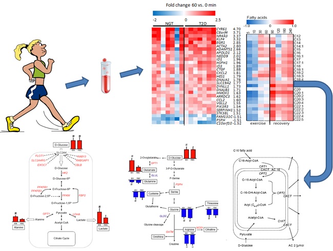 CC网投·(中国游)官方网站
