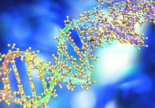 卵白质组学手艺效劳