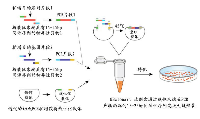 CC网投·(中国游)官方网站