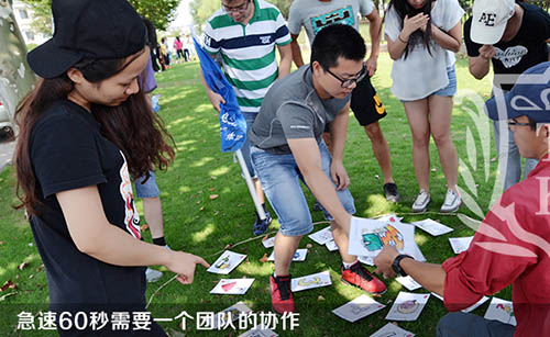 CC网投·(中国游)官方网站