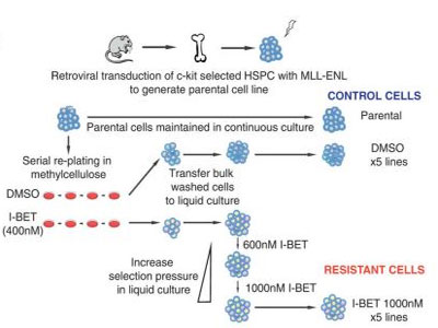 CC网投·(中国游)官方网站