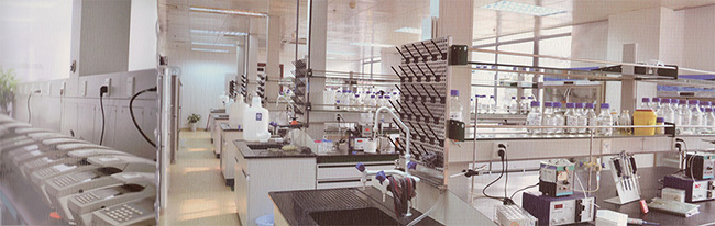 CC网投·(中国游)官方网站