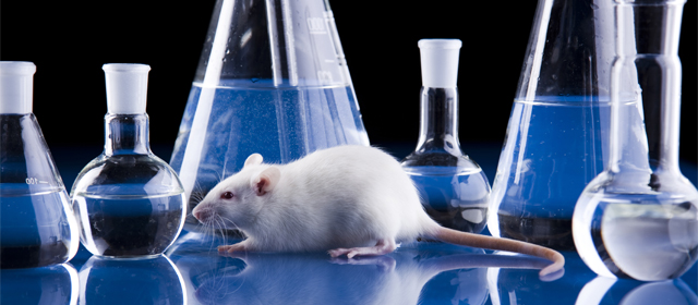 CC网投·(中国游)官方网站