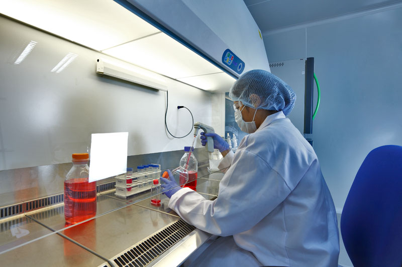 2015年药品特殊审评数据剖析：哪些新药搭上了快车？？？