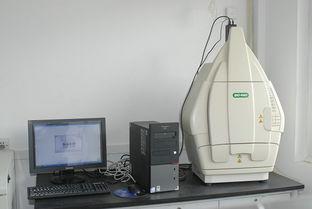 CC网投·(中国游)官方网站