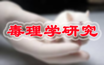 CC网投新药毒理学研究效劳