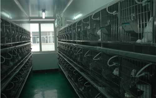 CC网投实验动物房