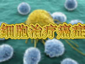 CC网投·(中国游)官方网站