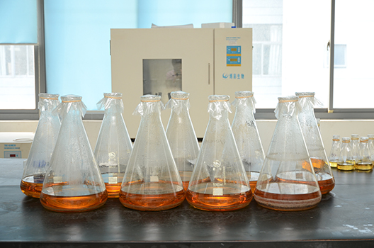 CC网投制剂中心GMP中试车间完工