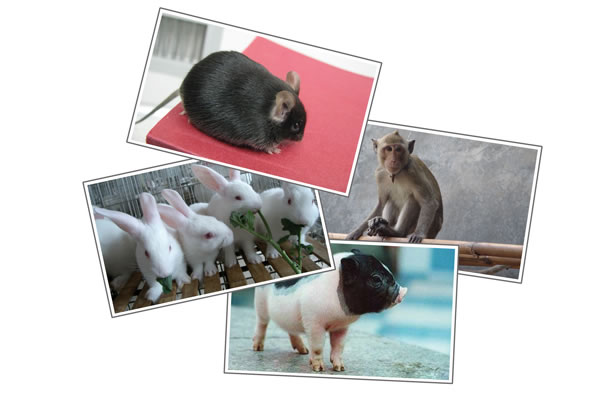 CC网投·(中国游)官方网站