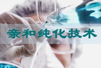 CC网投亲和纯化手艺效劳