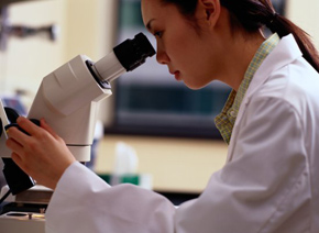 CC网投·(中国游)官方网站