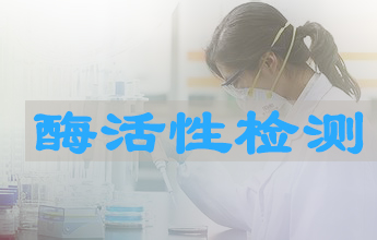 CC网投酶活性测定效劳