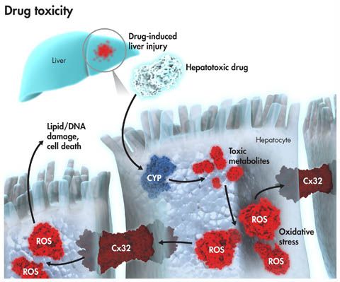 CC网投·(中国游)官方网站