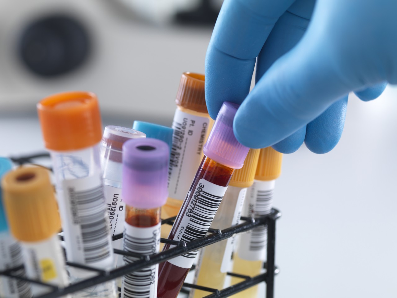 “溶出”照旧“BE”，，，，，作甚临床疗效“金标准”