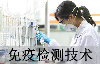 CC网投免疫学检测手艺剖析效劳