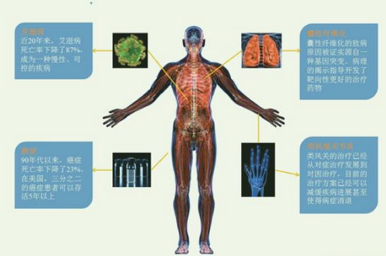 CC网投·(中国游)官方网站