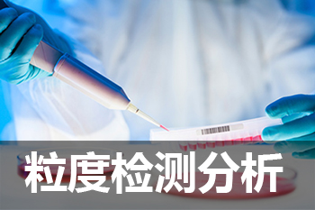 CC网投粒度剖析检测效劳