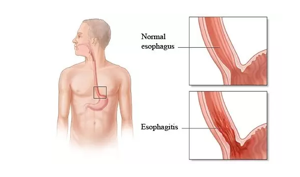 CC网投·(中国游)官方网站