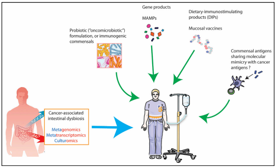 CC网投·(中国游)官方网站