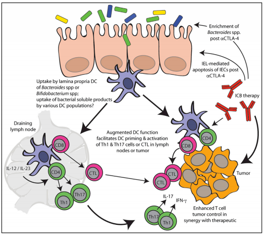 CC网投·(中国游)官方网站