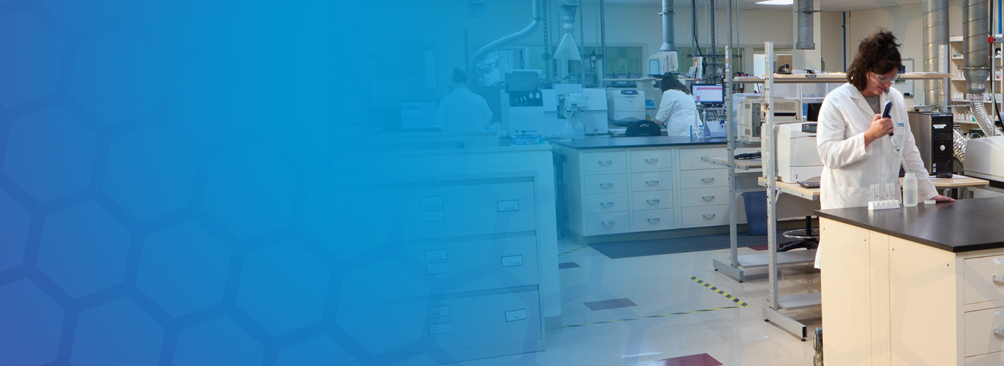 CC网投·(中国游)官方网站