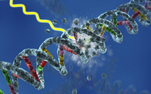 CC网投·(中国游)官方网站