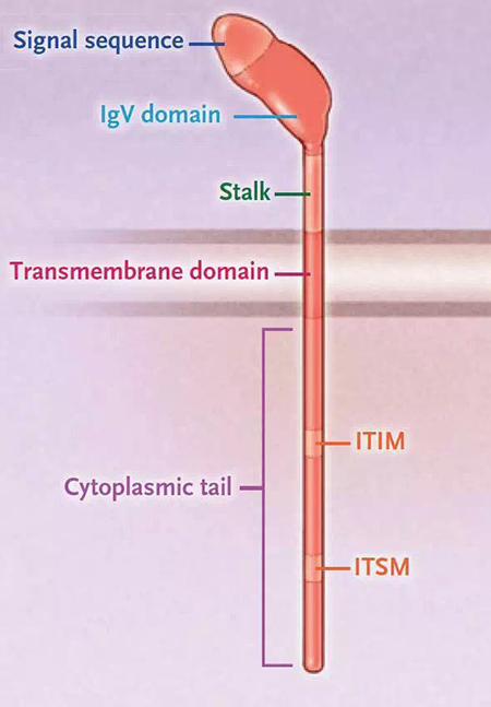 CC网投·(中国游)官方网站