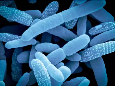 CC网投·(中国游)官方网站