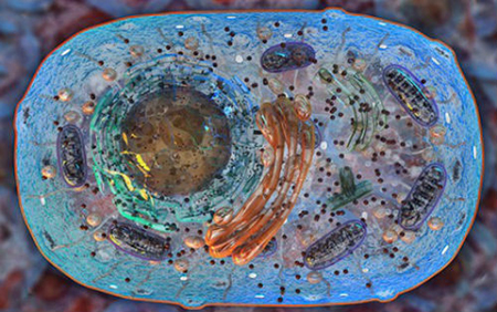 CC网投·(中国游)官方网站