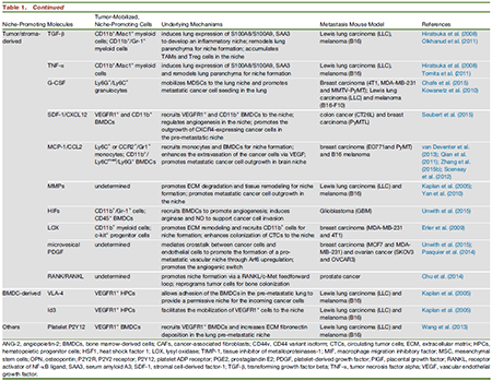 CC网投·(中国游)官方网站